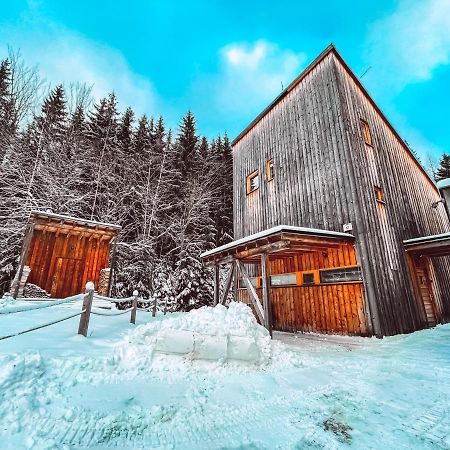 Naturepark Resort Harrachov Kültér fotó